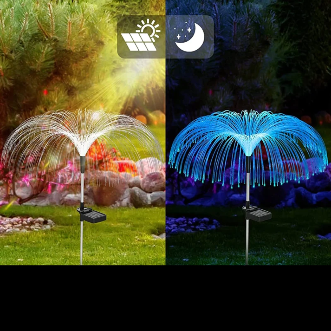 Licht Quallen Garten